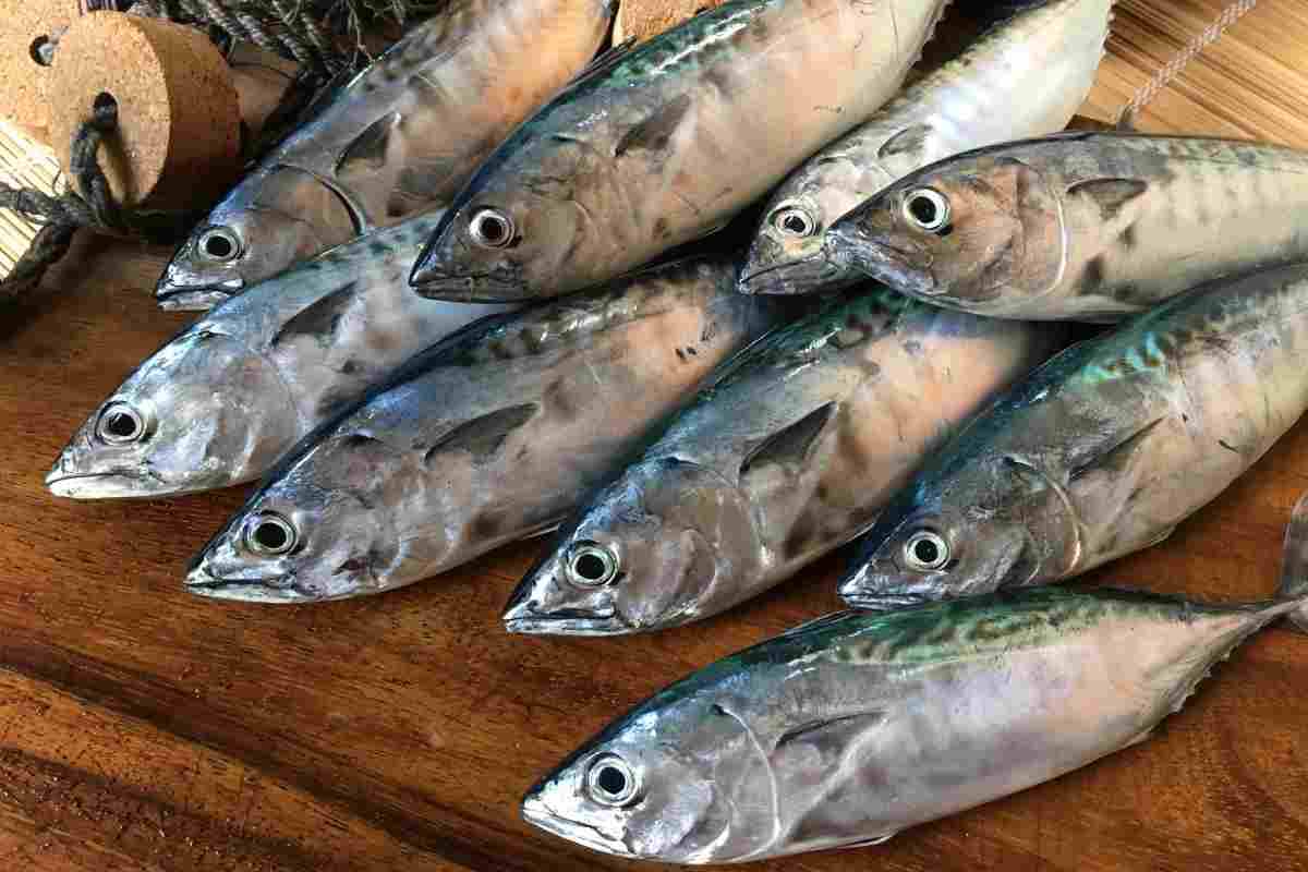 come abbattere bene il pesce