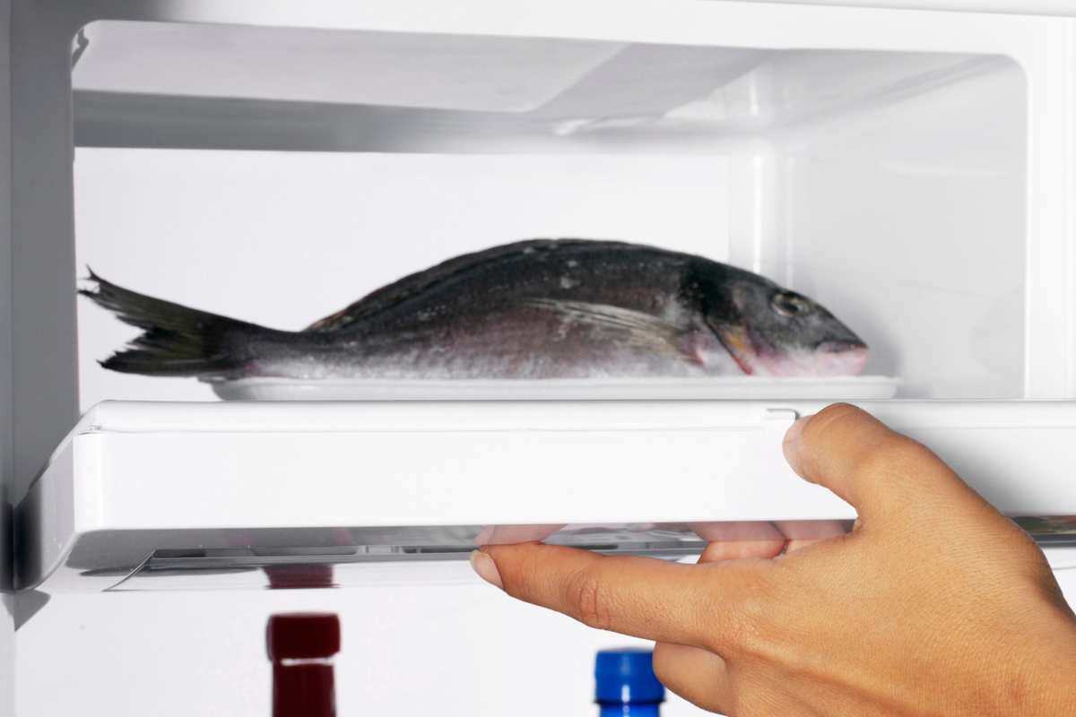 come abbattere bene il pesce