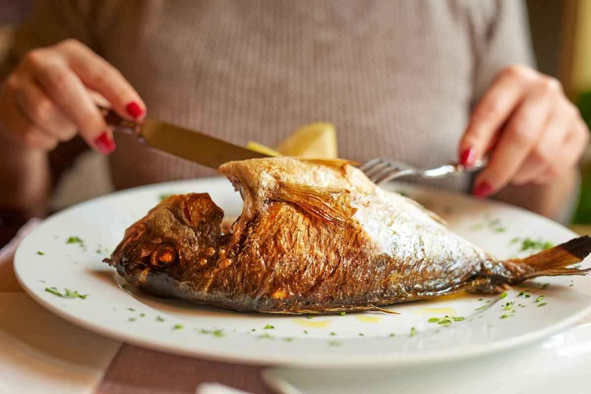 Pesce, attenzione a mercurio e tossine
