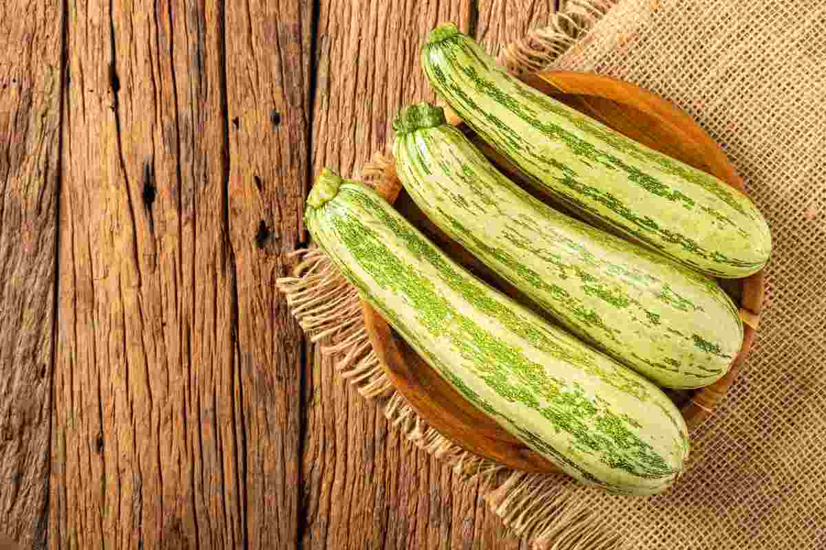 zucchine mantenimento acquisto