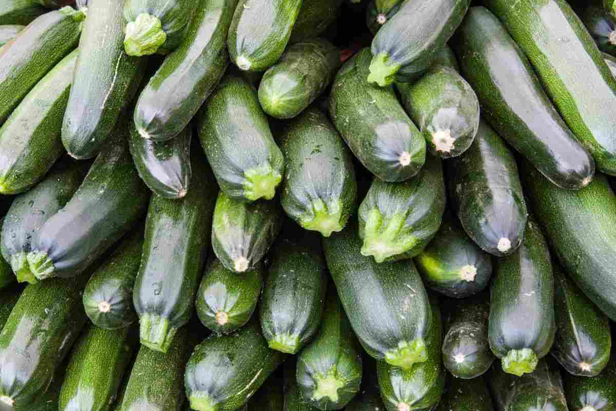 zucchine ambiente fresco conservazione